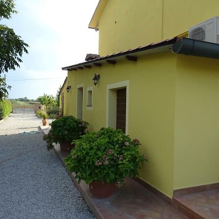 Appartamento Podere I Renai Santa Maria a Monte Buitenkant foto